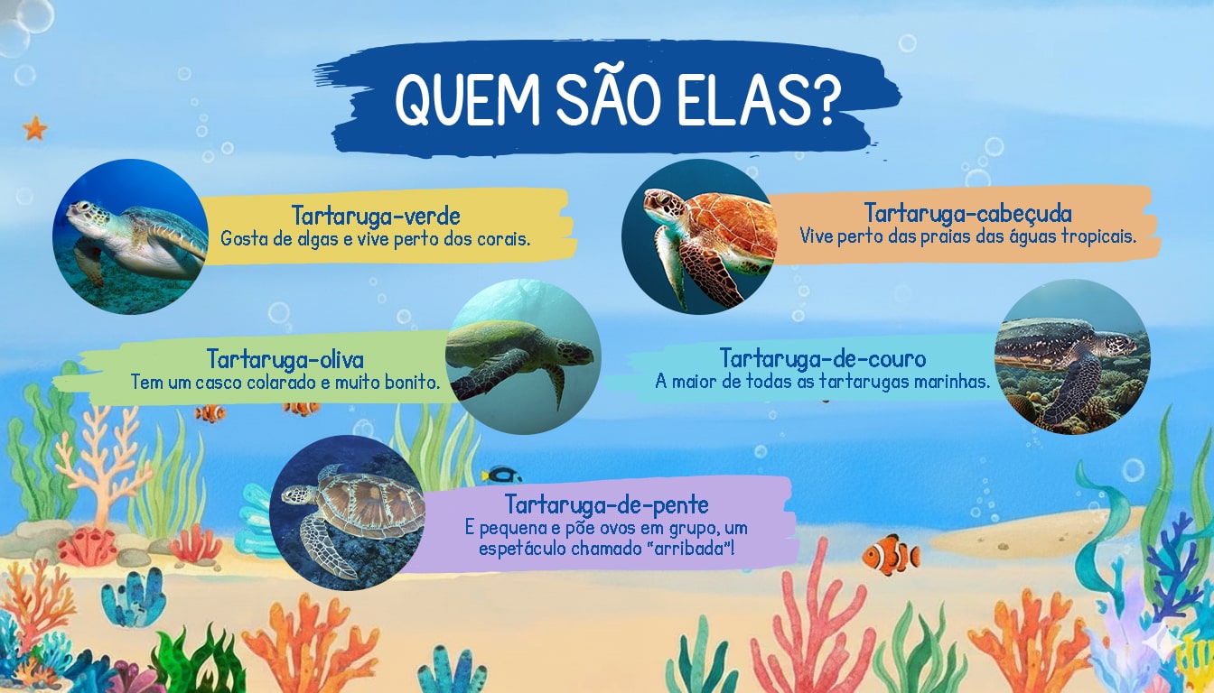 02 copiar-min