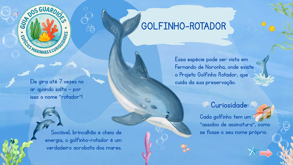 golfinho-min