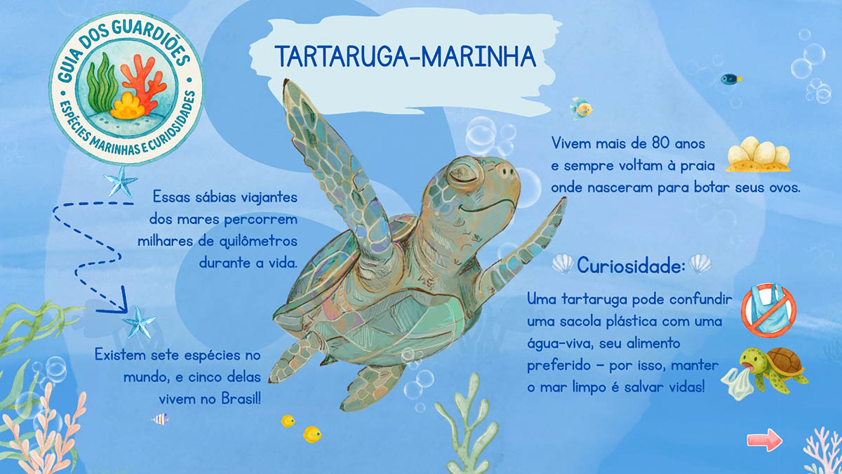 tartaruga-min
